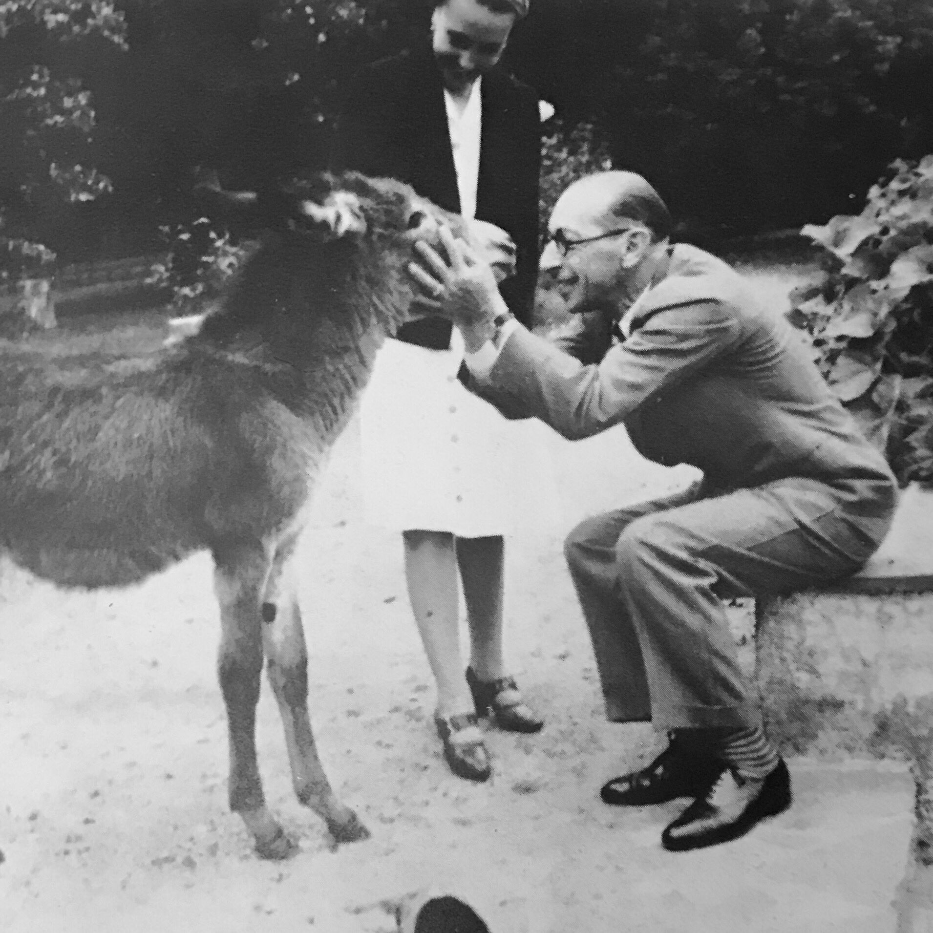 Igor Stravinsky lovin' a donkey
